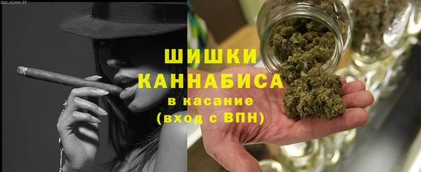 PSILOCYBIN Няндома