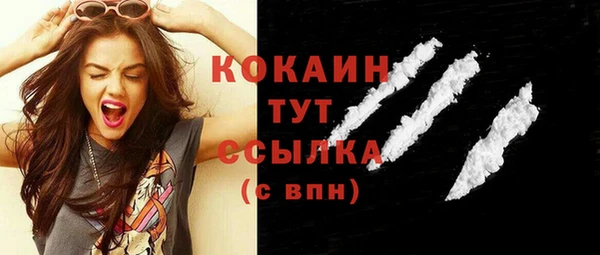 PSILOCYBIN Няндома