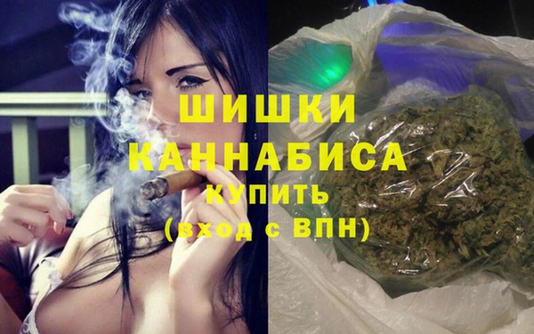 PSILOCYBIN Няндома