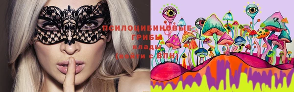 сатива Кинешма